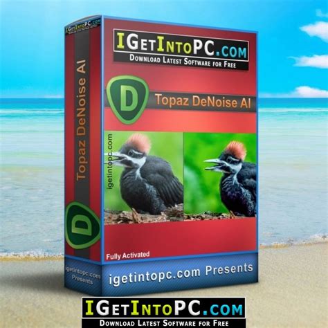 Topaz DeNoise AI 2.2.2 With Crack Download 